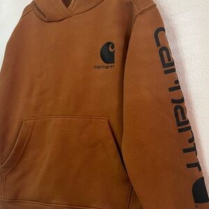 Carhartt Men's Rust Brown Hoodie